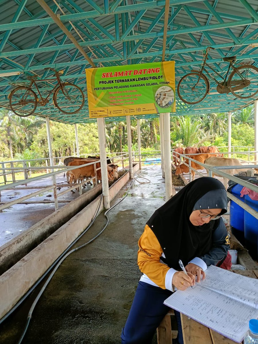 ppk_selama's tweet photo. 📷 LAWATAN PEMANTAUAN DARI PUAN NOR RAHILA  BT MOHD YUSOF (TIMBALAN PENGARAH LPP KEDAH)  KE TAPAK PROJEK LEMBU FIDLOT
📷 11.OO PAGI
📷  KAMPUNG MEDAN SG TAKA,SERDANG KEDAH
📷   25 OGOS 2024 (AHAD)
#𝐋𝐏𝐏𝐌𝐚𝐥𝐚𝐲𝐬𝐢𝐚
#𝐋𝐏𝐏𝟒𝐅𝐚𝐫𝐦𝐞𝐫𝐬
#𝐏𝐞𝐫𝐤𝐚𝐬𝐚𝐏𝐞𝐥𝐚𝐝𝐚𝐧𝐠 https://t.co/cjoZsKIHUI