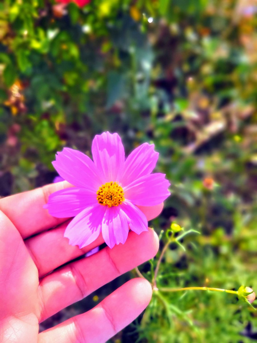 Elbette Allah yarattı 😍