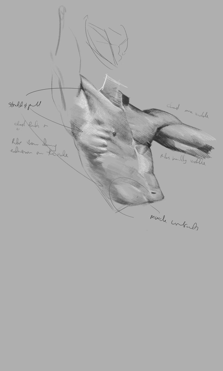 duro_arts's tweet image. 