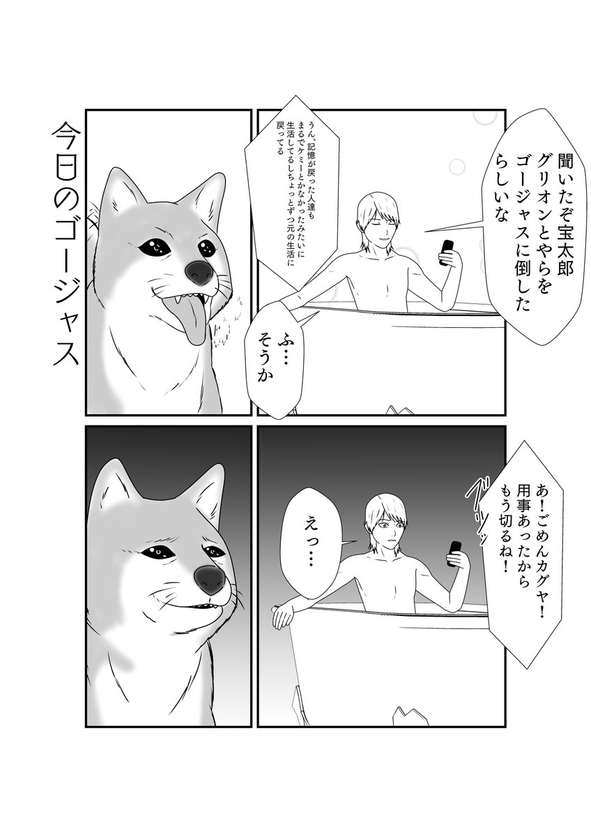 今日のゴージャス 