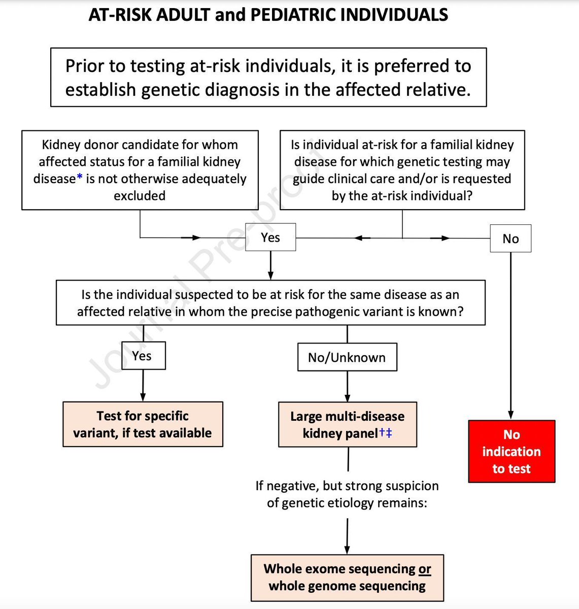 Advancing Genetic Testing in Kidney Diseases: Report From a <a href="/nkf/">National Kidney Foundation</a> Working Group 

buff.ly/4d5DvDj (FREE)

@NoraFranceschi2 @alexchangmd <a href="/ndahl48/">Neera Dahl</a> <a href="/HilaMilo/">Hila Milo Rasouly</a> <a href="/NKF_NephPros/">NKF Nephrology Professionals</a>