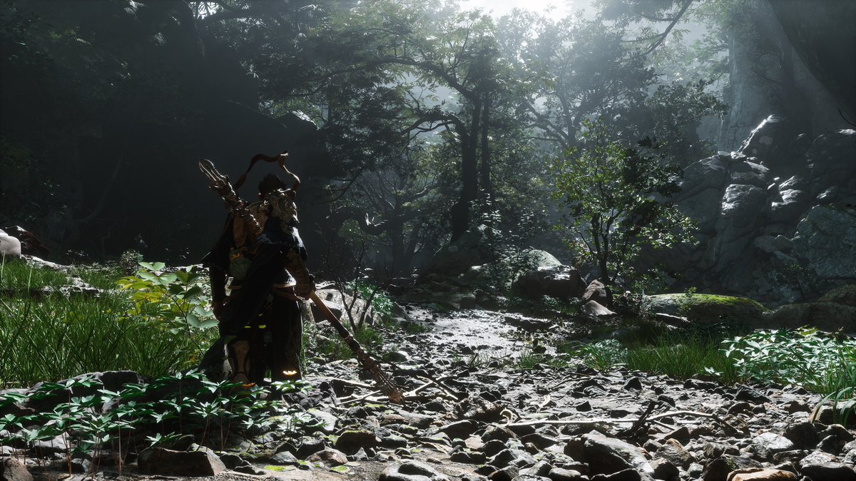 Lucas Lucena tweet media