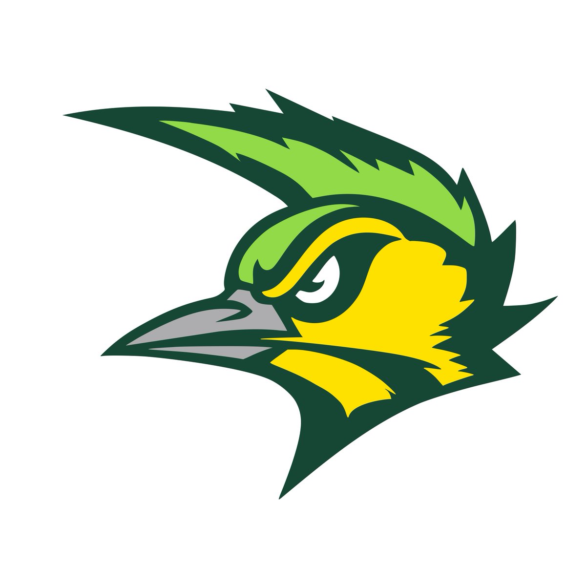 GraphicsRKW's tweet photo. Had this team done a while. Just got around to making the card. Crestview (Wood)Peckers. Inspo between Oregon &amp; Tampa Bay Vipers. Wasn't looking to use same colors, but looks sick. Reall like how these turned out. DL from username RyanW_3529. #CFB25 #MaxFootball #CollegeFootball https://t.co/zqyqhhcgyl