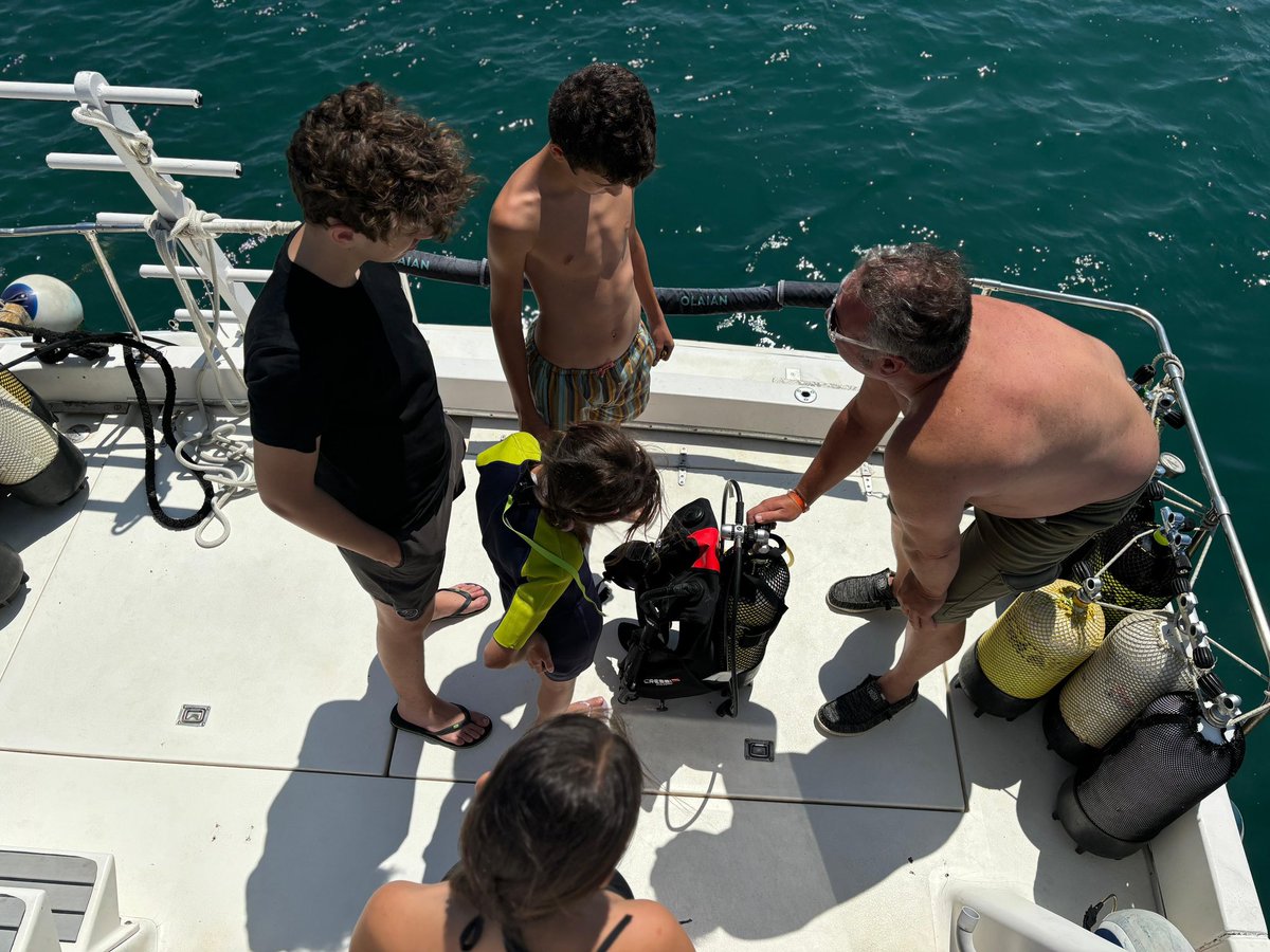 @aton.sd tweet media