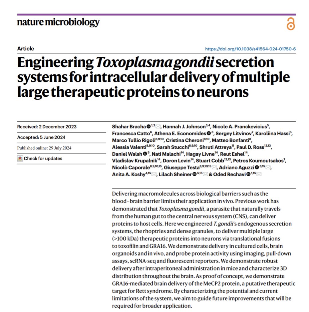 DGandavadi's tweet photo. Fast forward a few years, Toxoplasmosis is being used in delivering large proteins to our brains for therapeutic purposes. It’s interesting to see how seemingly unrelated or fictional biological scenarios can inspire medical advancements. https://t.co/juCLY2Yluy