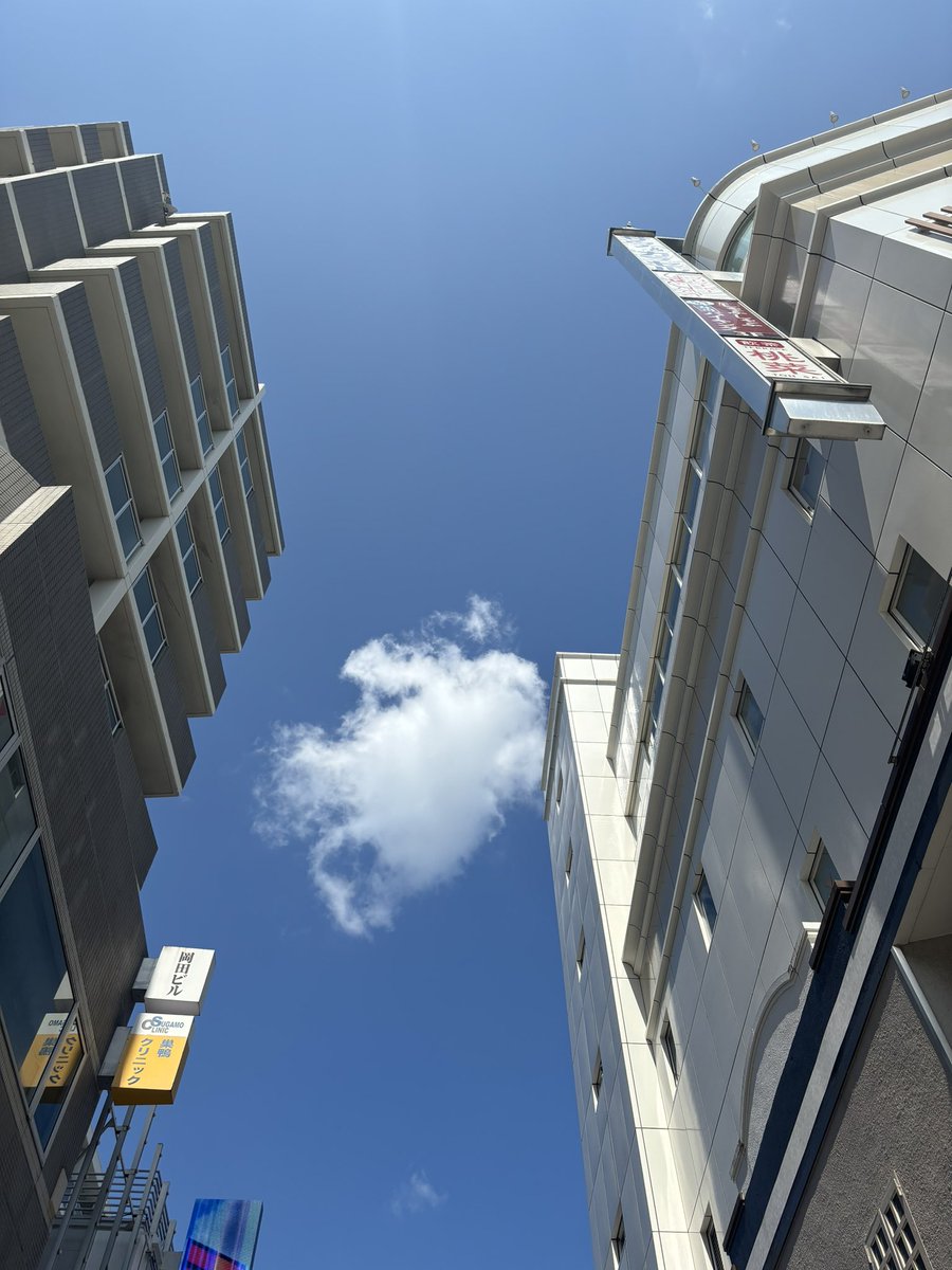 torken1111's tweet image. 昨日もいい日⌒☆*。
🌹🏆🏆🏆👙👙🏆🏆🌪️🏆👸👙👙🤎

#backdate
#パラスポーツの日
#東京国際空港開港記念日
#川柳発祥の日