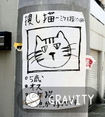helios_n's tweet photo. んー〜もう少しヒントを！
#グラビティ
#やさしいSNS
@GravityAD2
GRAVITYアプリでもっと見る➡️ https://t.co/ktTjaX5vff https://t.co/w380WJfrci