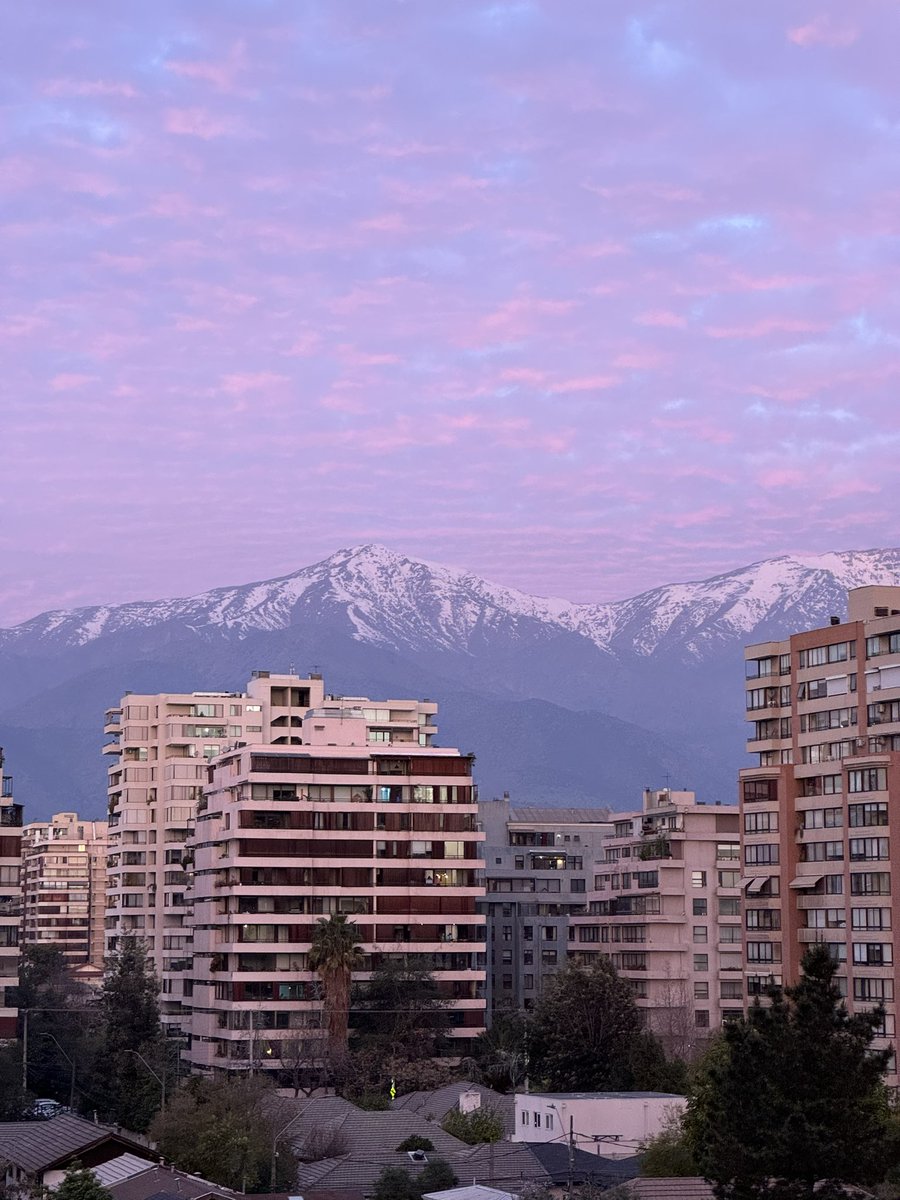 Цвета именно такие в реальности.