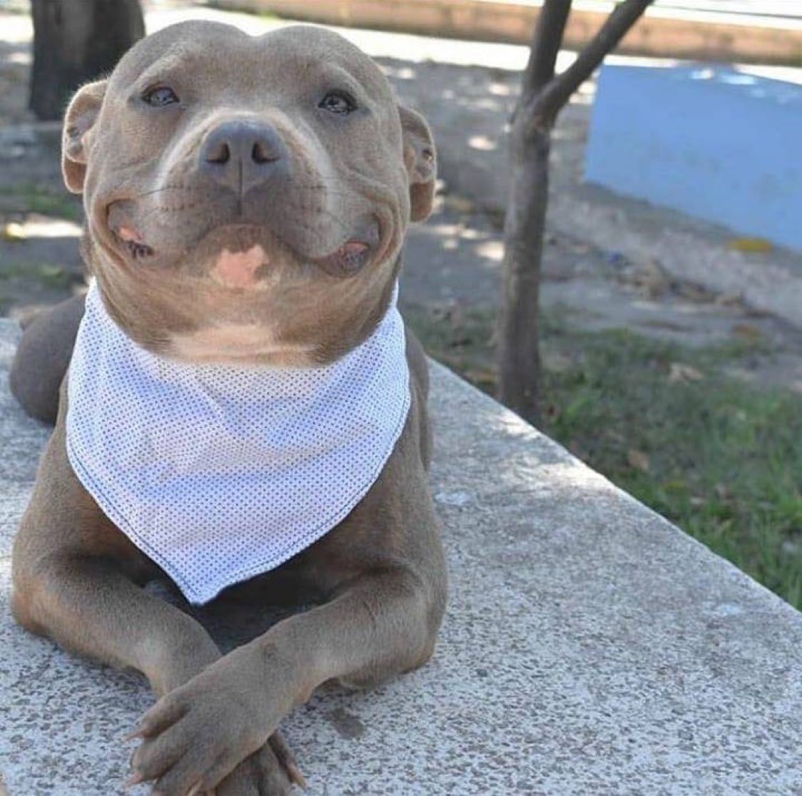 Benonwine tweet media
