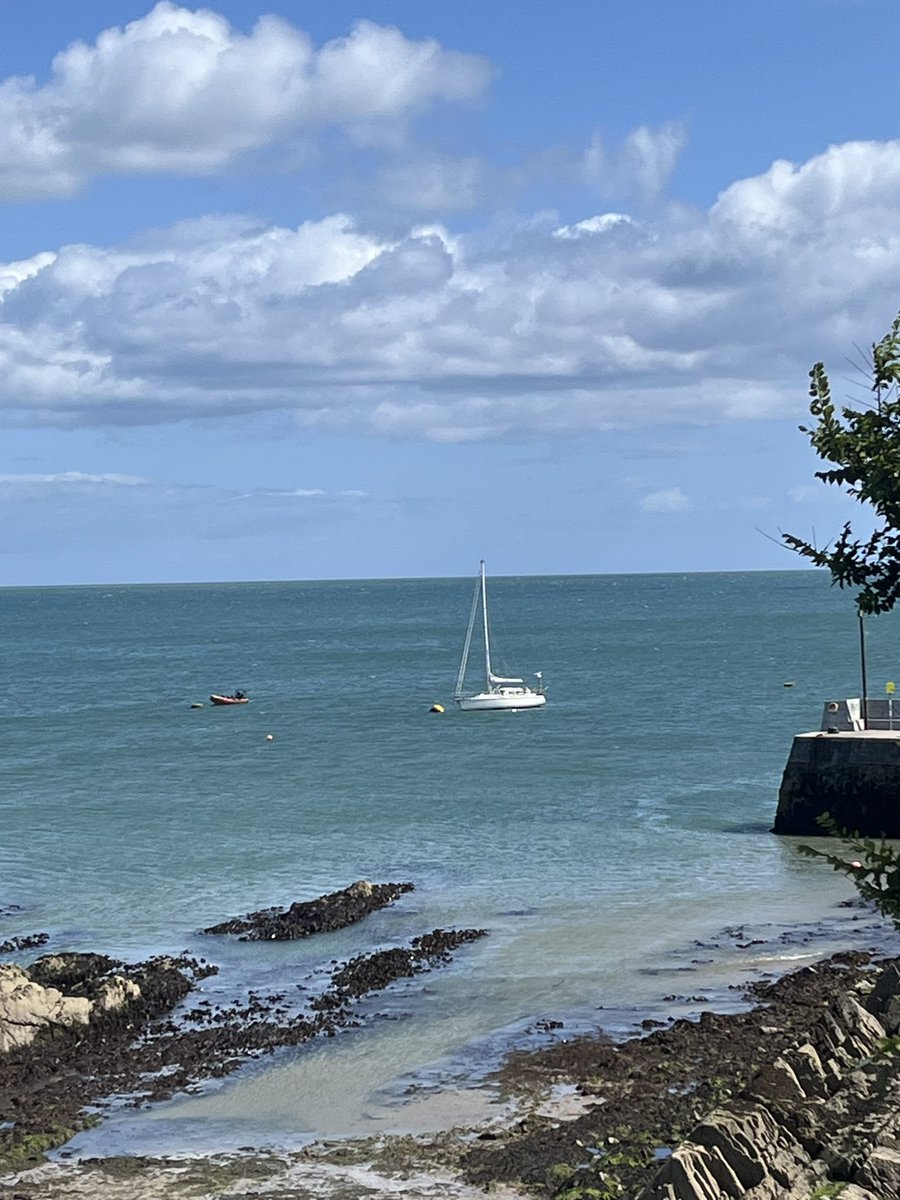 Flor MacCarthy🇺🇦🇵🇸 tweet media