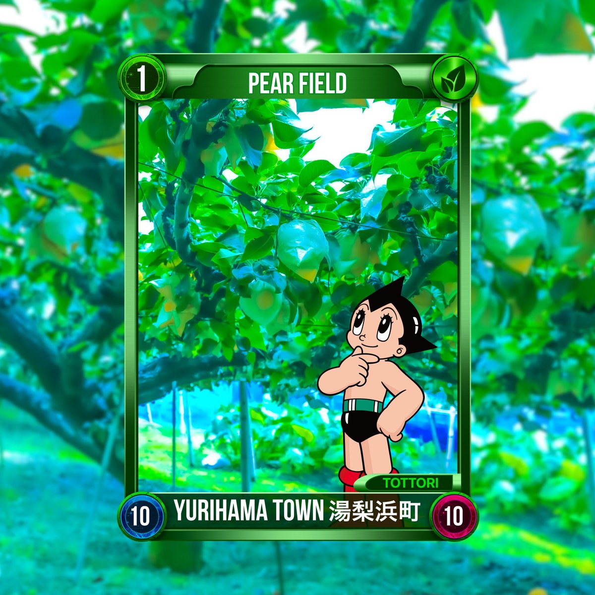 🃏今日のNFT🃏
#梨畑

🍐鳥取の #梨 シーズン真っ盛り🍐
#鳥取 では #二十世紀梨 をはじめ、オリジナル品種の #新甘泉 や #秋栄、#なつひめ、#夏そよか、#秋甘泉 などを味わうことが出来ます💕
🔗tottori-guide.jp/806/16421.html

💁#XANA SUMMIT 2024 (9/24〜10/7) の質問会を8/28(水) 21時から開催