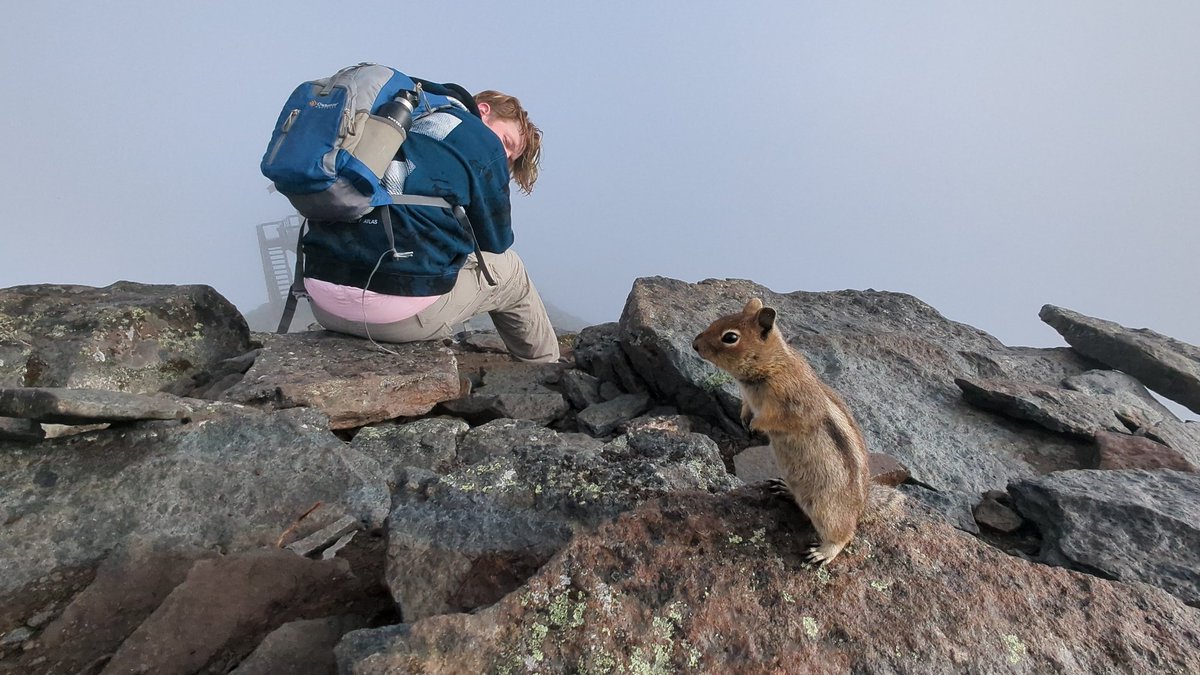 CubbyAdventure's tweet image. My kiddo be peeking at every turn ;3 @BabbyZansky

Dad doesn't even need to tell him at this point, he shouldn't even have pants to begin with hahaha