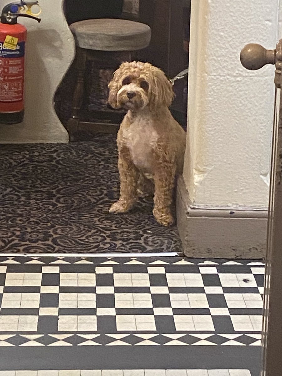 The Roebuck tweet media