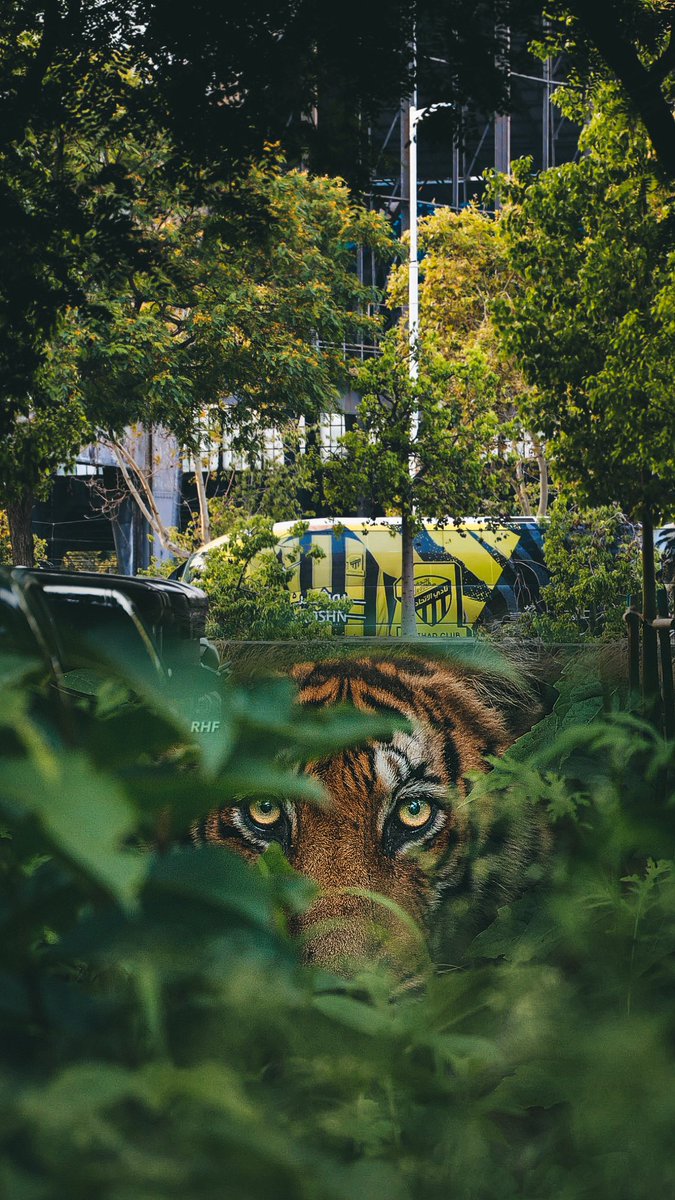 irahaf___m's tweet photo. شبكتها مع بعض ! والله وااااااااو 😍😍😍🔥🔥
#الاتحاد https://t.co/eV7gqaw9Wl