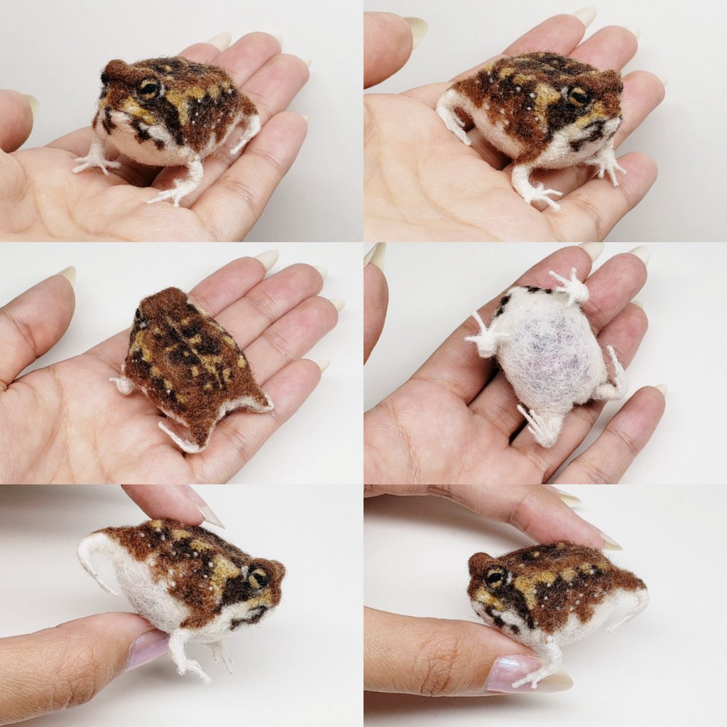 アメフクラガエル完成
#羊毛フェルト