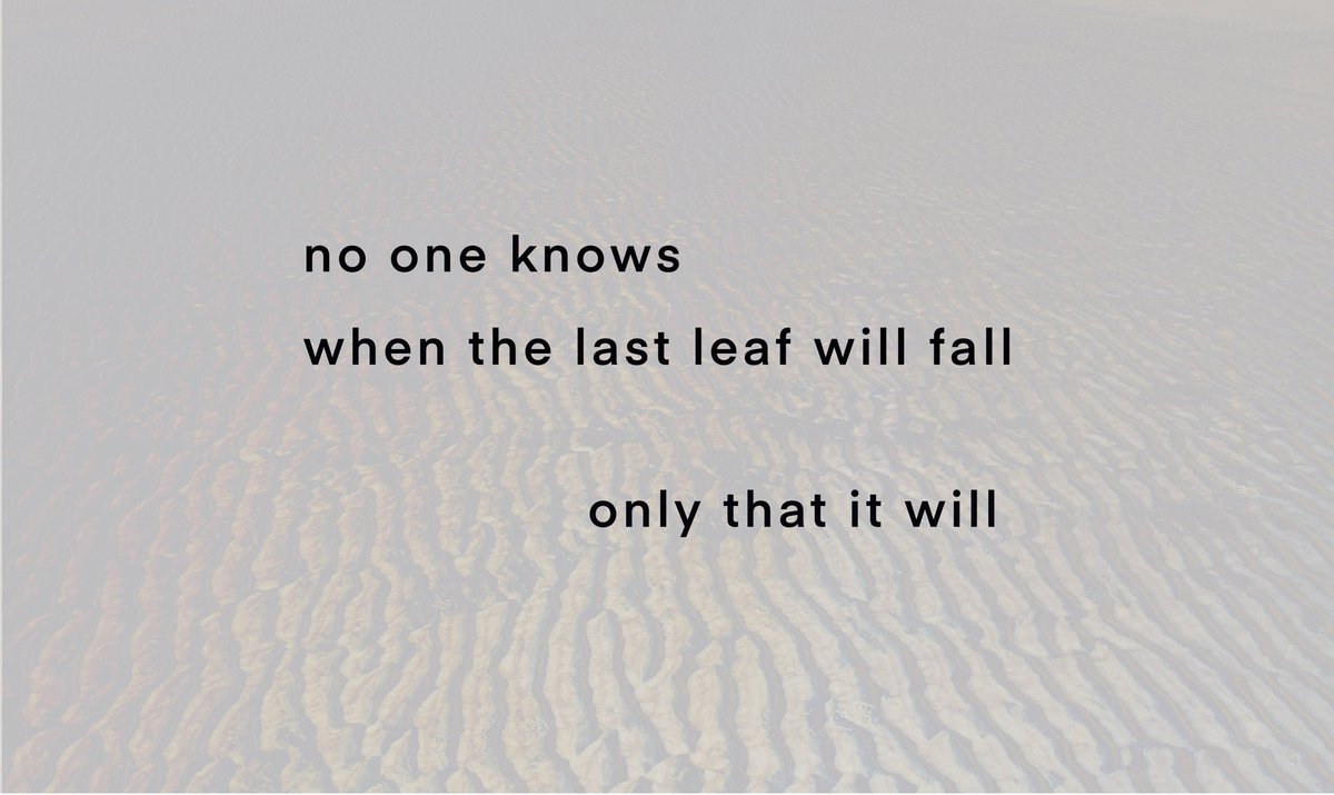 #micropoetry #extinction