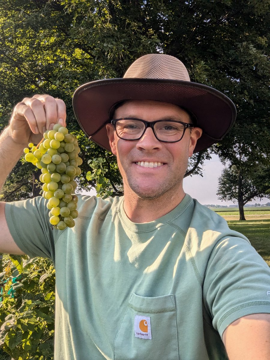 Matthew Elsass tweet media