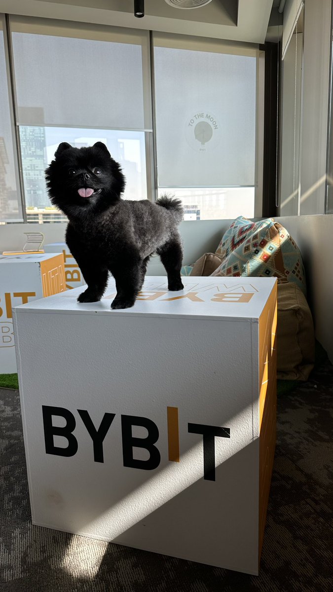 Web3Ghold's tweet photo. This is the day that thy lord has made
We will rejoice and be Glad for $Dog is listing today 💃
Long no more, The expectation is here, just free hours to go……
#Doglisting $DOG #FREEDUROV #FREEDU #BybitListing @s0meone_u_know @nolla_writes #TONBlockchain https://t.co/QlAd9piPuN
