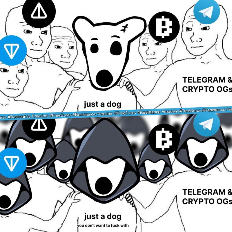 Web3Ghold's tweet photo. This is the day that thy lord has made
We will rejoice and be Glad for $Dog is listing today 💃
Long no more, The expectation is here, just free hours to go……
#Doglisting $DOG #FREEDUROV #FREEDU #BybitListing @s0meone_u_know @nolla_writes #TONBlockchain https://t.co/QlAd9piPuN