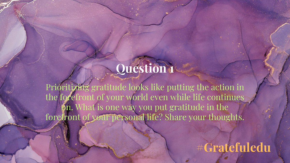 Elyse Hahne tweet media