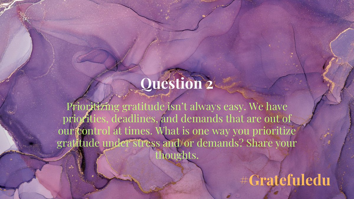 Elyse Hahne tweet media