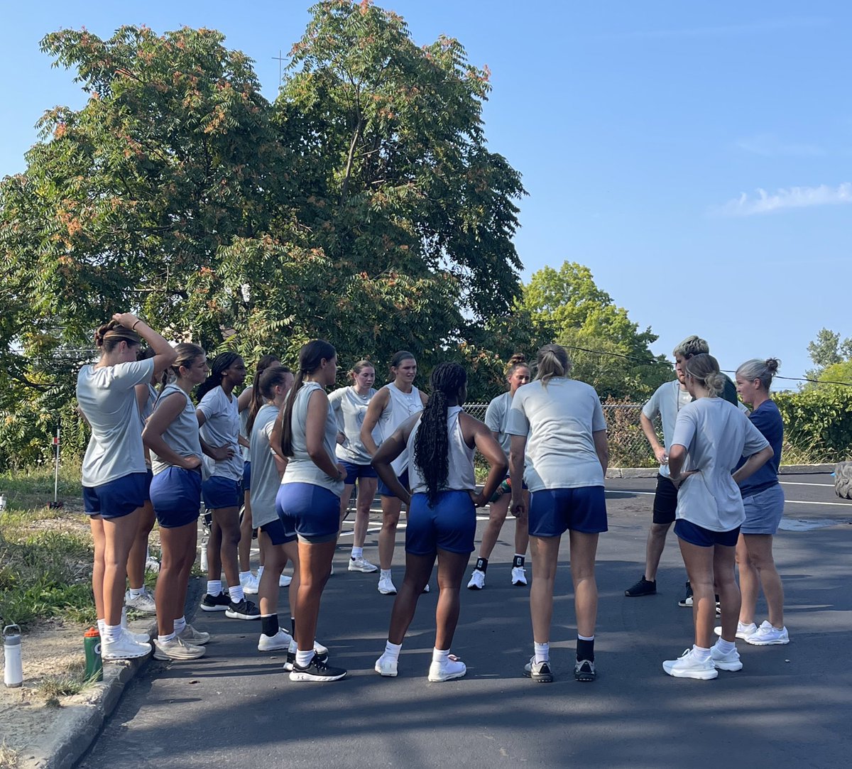 Mercyhurst Women's Basketball tweet media
