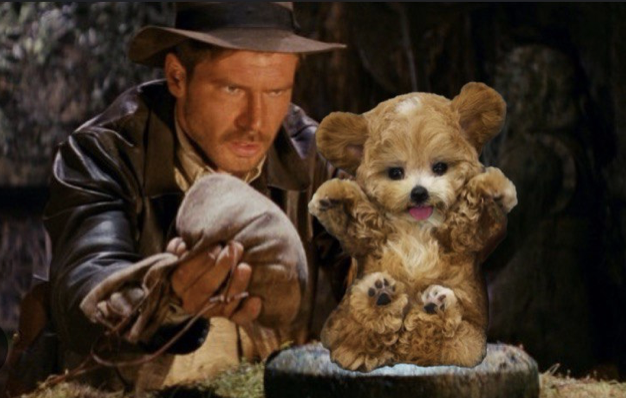 HugglesSOL's tweet photo. @corehtrading $Huggles is coming to save @solana memes!  Launch is less than 24 hours away.

https://t.co/fGRCGdMBgQ https://t.co/YrwWKNnF6i