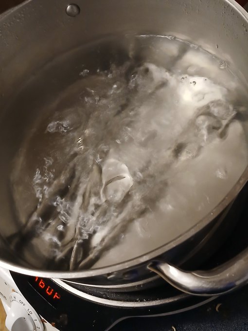 Sterilization is necessary. https://t.co/lodZjw3vau