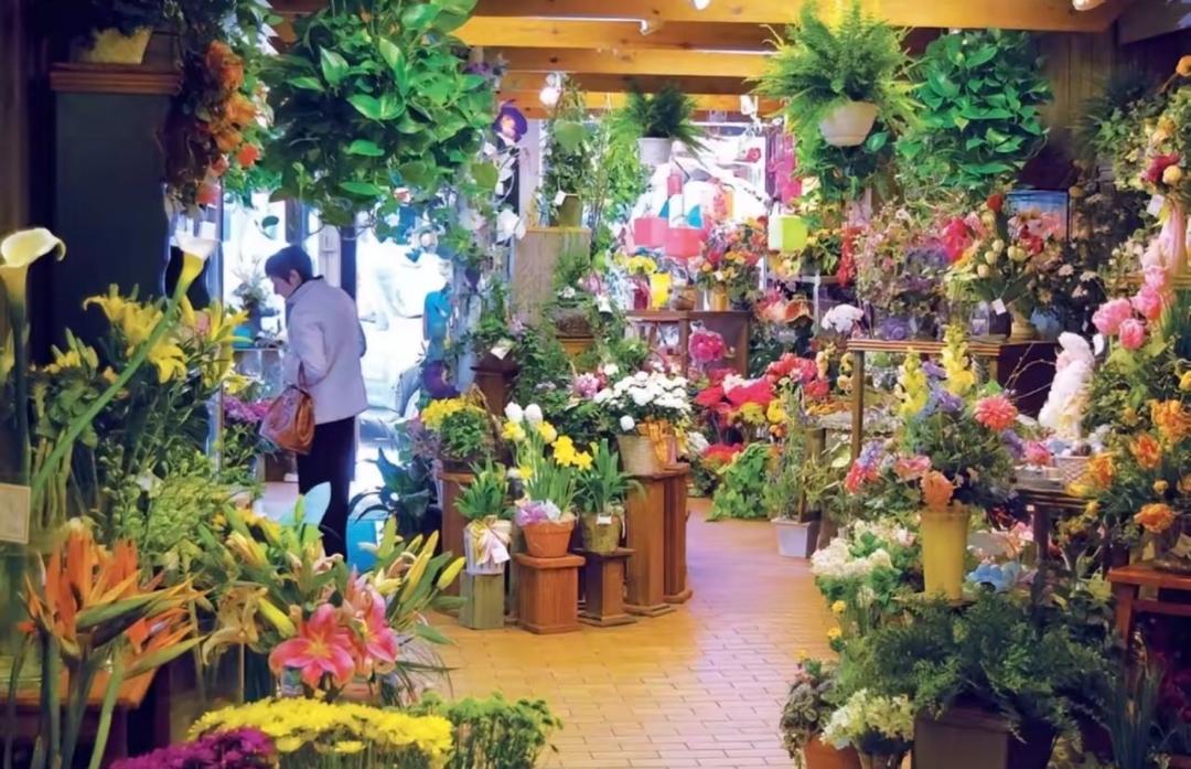 Pay a visit to my Mom today she requires for a flower as a gift for her and we are here now to get the flower for her🤍