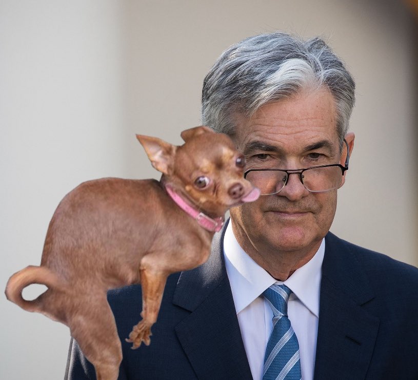 Spook Scare tweet media