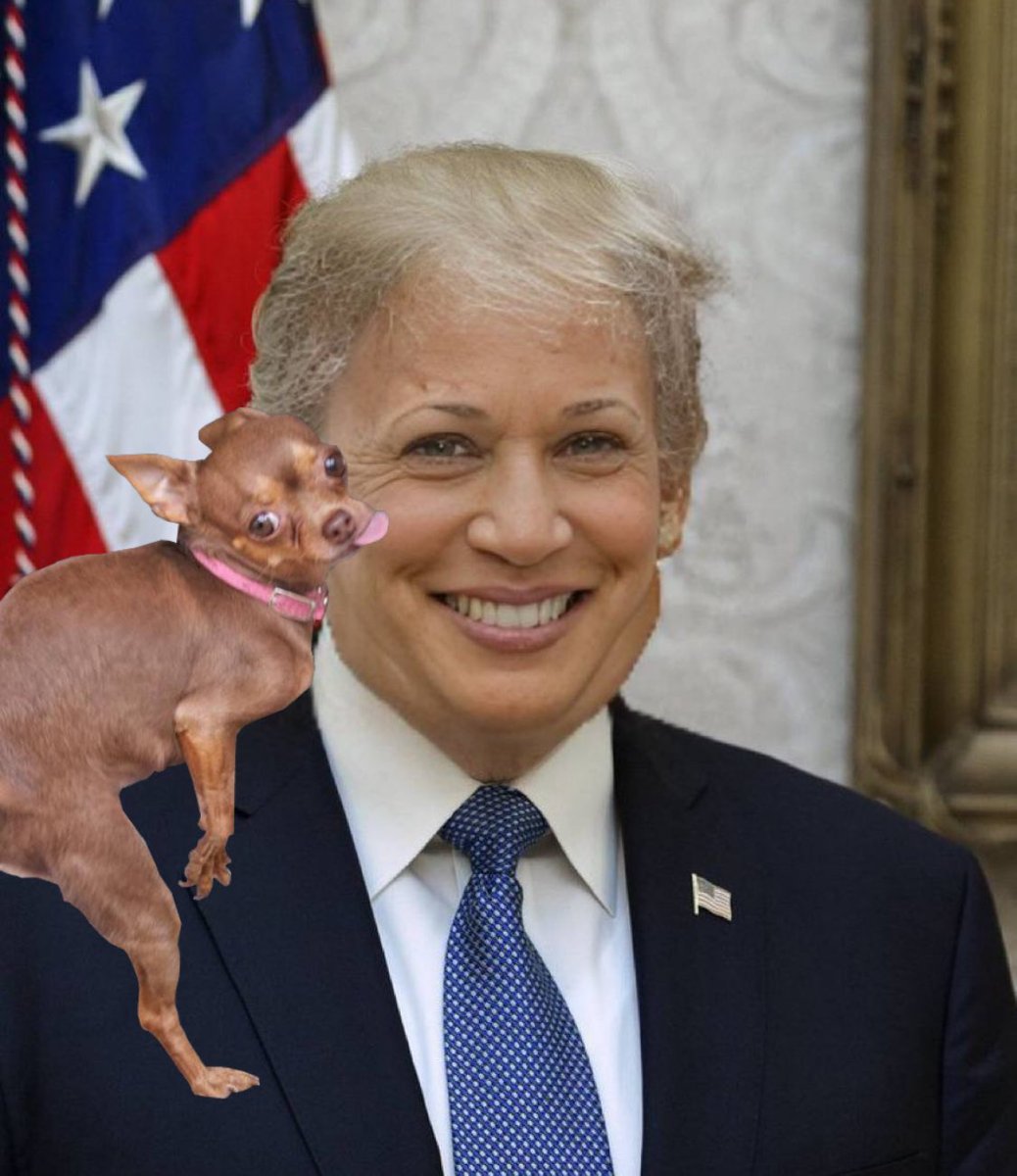 Spook Scare tweet media