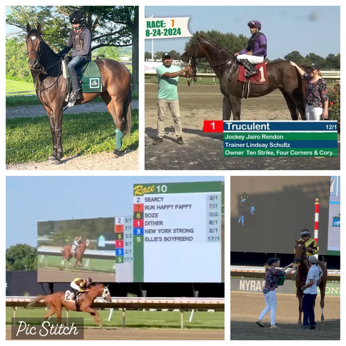 Lindsay Schultz Racing Stable (@lschultz626) on Twitter photo Lots of ⬆️ and ⬇️ in 🐎! Wish we could win them all but happy the horses are eating 🍎🍏 in their stalls <a href="/MonmouthPark/">Monmouth Park</a> <a href="/EllisParkRacing/">Ellis Park Racing & Gaming</a> Grateful to 🥂3️⃣ wins this Saturday for top owners - very proud of REAGAN’S FLAME, SEARCY and TRUCULENT <a href="/ShortleafStable/">Shortleaf Stable, Inc.</a> <a href="/Tenstrikeracing/">Ten Strike Racing</a> Lots of ⬆️ and ⬇️ in 🐎! Wish we could win them all but happy the horses are eating 🍎🍏 in their stalls <a href="/MonmouthPark/">Monmouth Park</a> <a href="/EllisParkRacing/">Ellis Park Racing & Gaming</a> Grateful to 🥂3️⃣ wins this Saturday for top owners - very proud of REAGAN’S FLAME, SEARCY and TRUCULENT <a href="/ShortleafStable/">Shortleaf Stable, Inc.</a> <a href="/Tenstrikeracing/">Ten Strike Racing</a>
