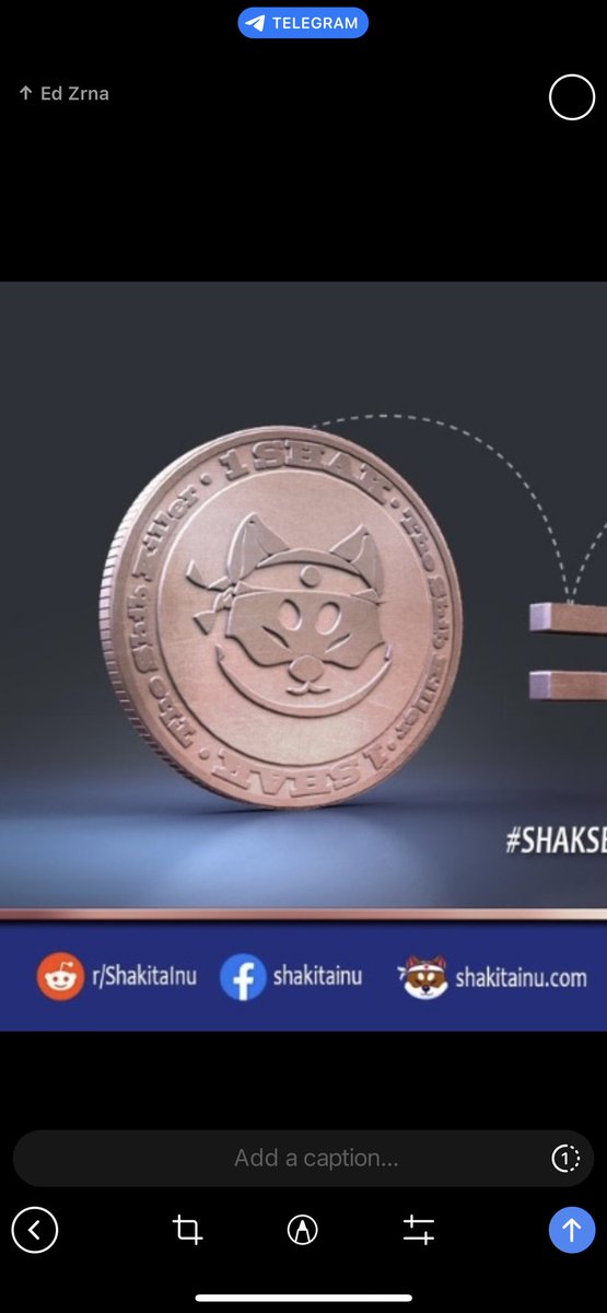 Shakita Inu / Samurai $SHAK 🎯 x1000 #SHIBKILLER tweet media