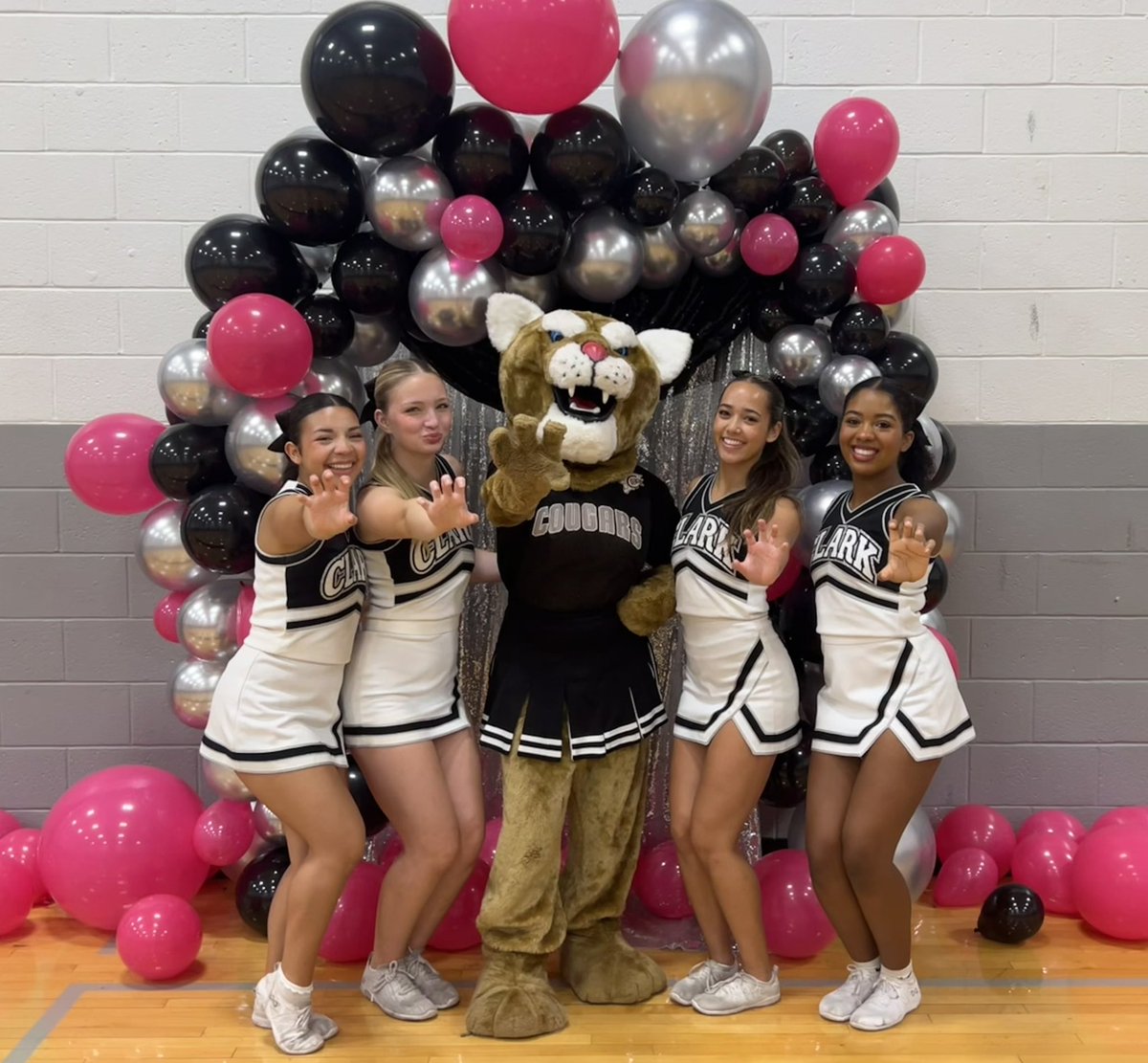 Clark Cheer 🦋 tweet media