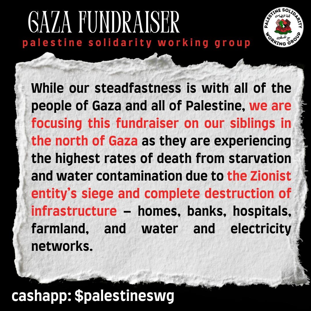 Palestine Solidarity Working Group🇵🇸 tweet media