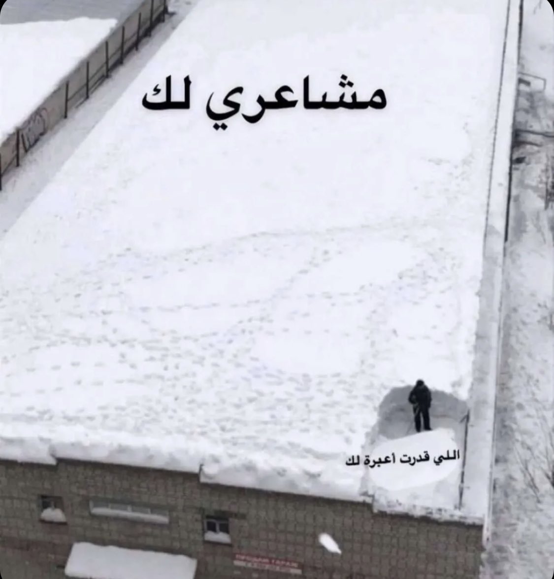 مشكلتي اللي مالها حل