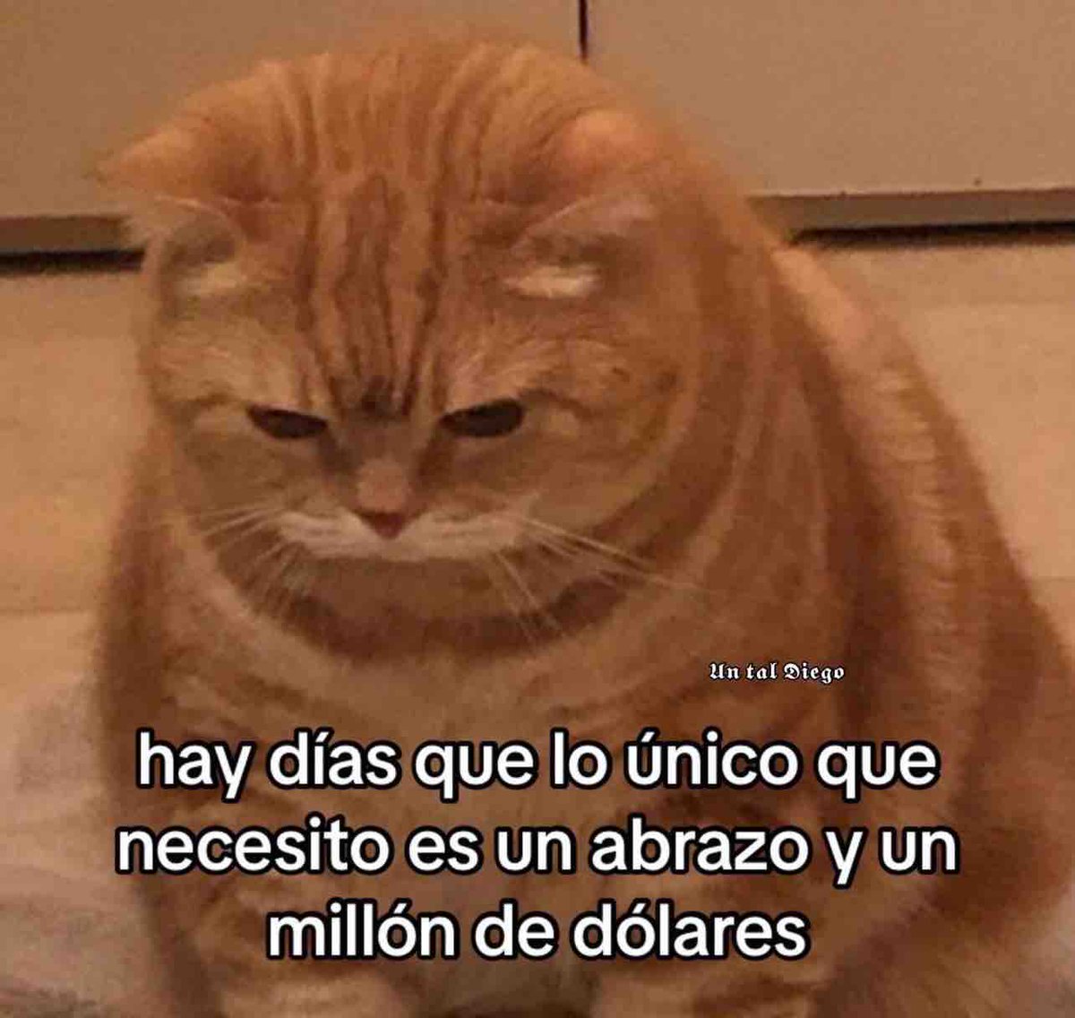 Hay días