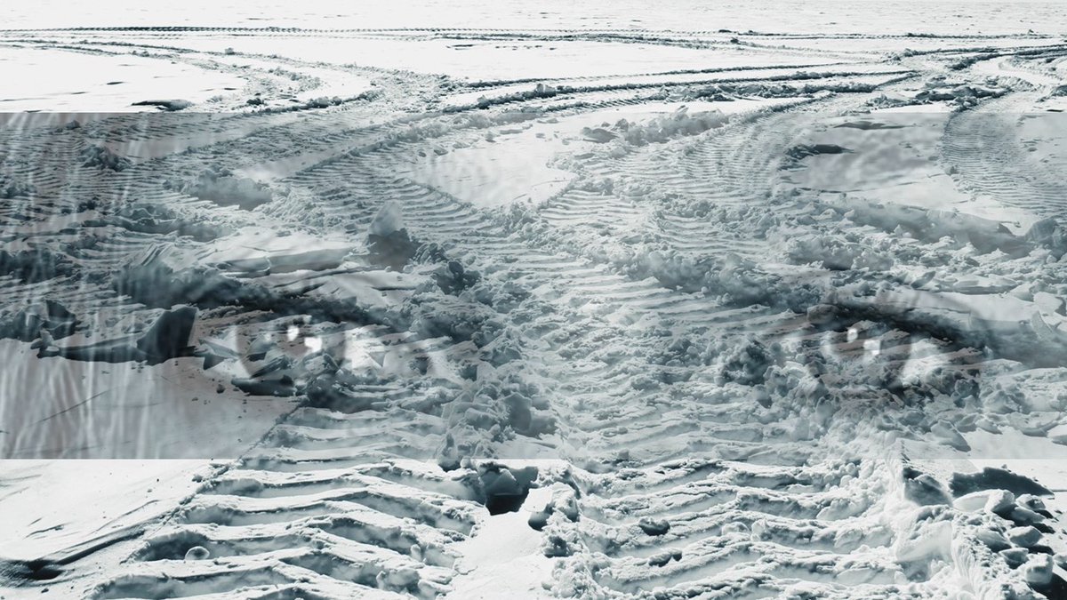 Miranda Nieboer tweet media