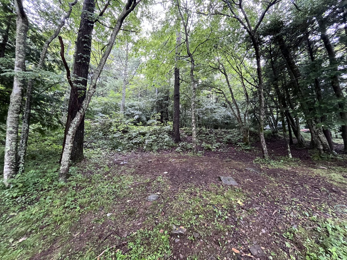 来た時よりも美しく
sawagi festival 2024
完