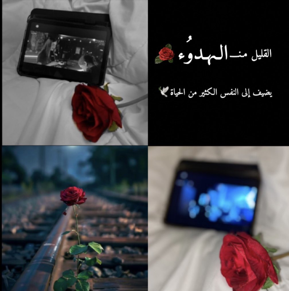 mex_7looom's tweet photo. القليل من #الهدوء يضيف إلى النفس الكثير من #الحياة🕊️ 
#حياة_الماعز 
#الرد_آت https://t.co/c7xDCqkFgC