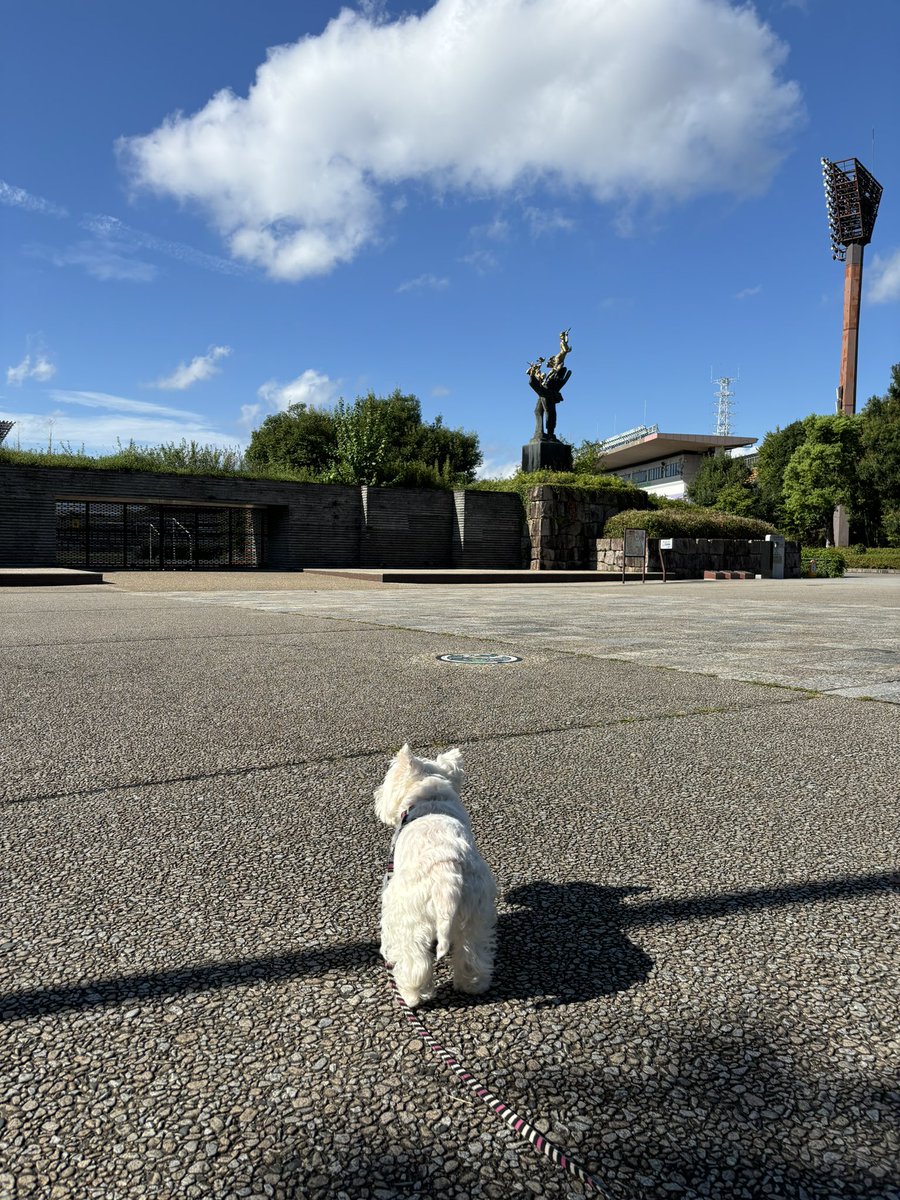 nasuke03's tweet image. いい天気だけど台風接近中
みなワン🐶ご安全に