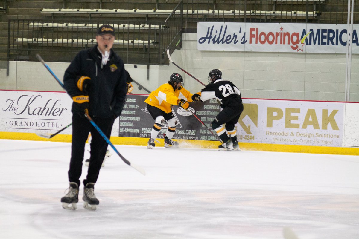 Rochester Grizzlies tweet media