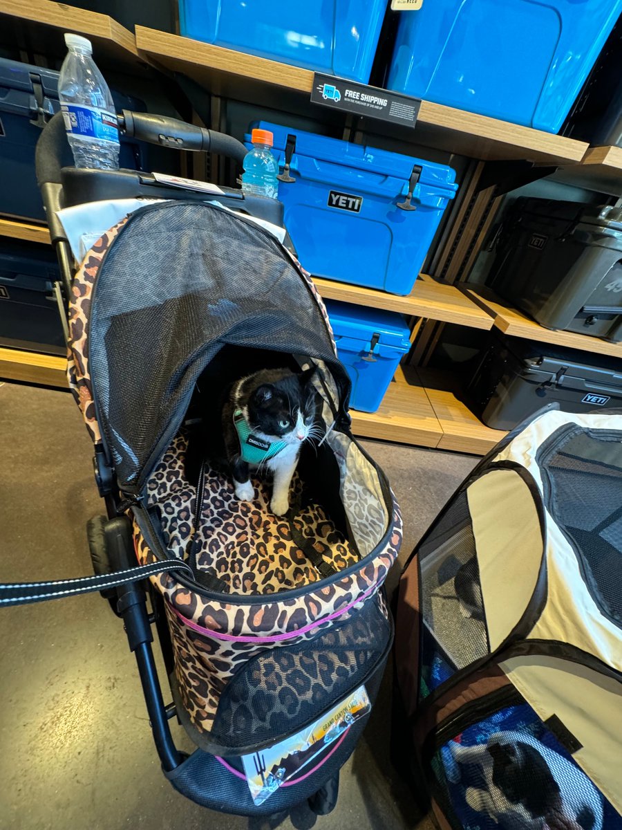 FearlessKitty12's tweet photo. Thank you Yeti for a great event yesterday. The Fearless Kitties had a fun time! #YetiEvent #FearlessKitties #EventRecap #CommunityEvent #EventFun #EventThankYou https://t.co/tYKIb8rVVo