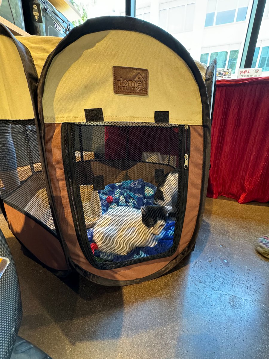 FearlessKitty12's tweet photo. Thank you Yeti for a great event yesterday. The Fearless Kitties had a fun time! #YetiEvent #FearlessKitties #EventRecap #CommunityEvent #EventFun #EventThankYou https://t.co/tYKIb8rVVo