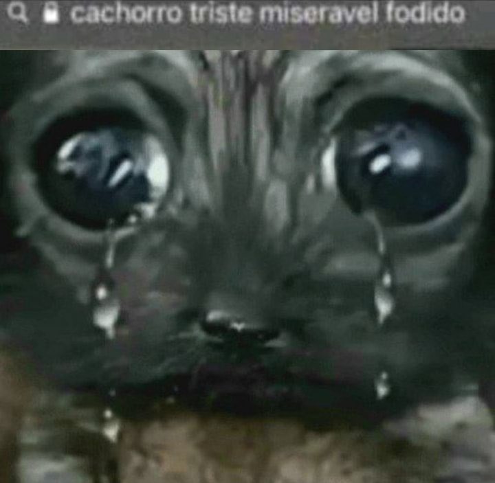 me cago en tiktok como me van a bloquear los mensajes, me arruinaron las rachas hps
