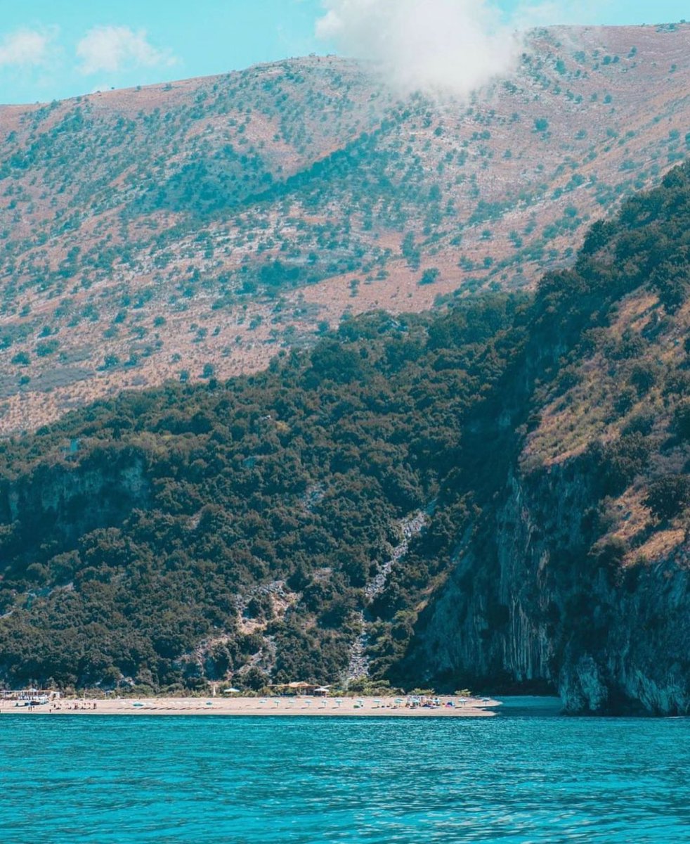 Krorez Bay tweet media