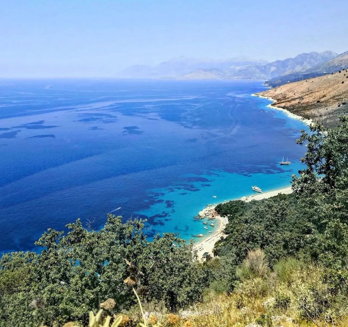 Krorez Bay tweet media