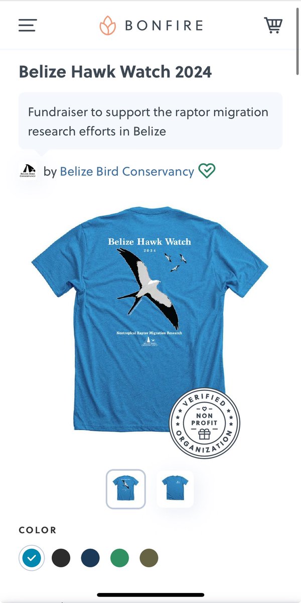 The 2024 Belize Hawk Watch shirts are now available for a limited time! Funds go toward raptor research &amp; conservation efforts in Belize. Our tribute bird this year: the Swallow-tailed Kite!!#BelizeBirdConservancy #RaptorResearch #BelizeHawkWatch LINK➡️bonfire.com/belize-hawk-wa…