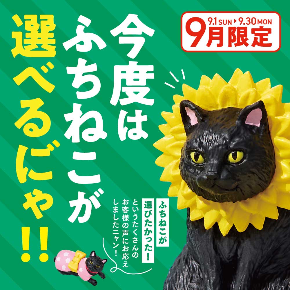 ／
まだまだ夏は終わらない！？

お客さまの声にお応えし、
好きなふちねこと交換できる！
「選べる ふちねこサマーキャンペーン」を
9月1日（日）より開催するにゃ🐾
＼

SNSや問い合わせで、
「好きなふちねこと交換できるようにしてほしい」というお声をたくさんいただいたにゃ。