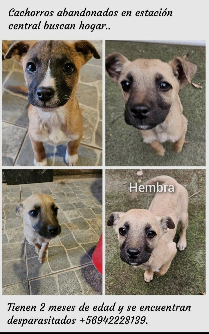 Andylight tweet media